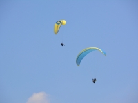 DSC02960_c