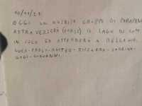 Galbiga_19