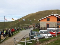 250